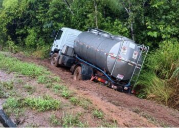 Caminhão leiteiro sai da pista e cai em ribanceira na BR-364