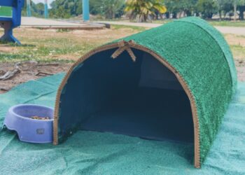 Prefeitura instala abrigos para gatos em espaços públicos