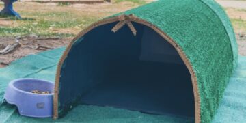 Prefeitura instala abrigos para gatos em espaços públicos