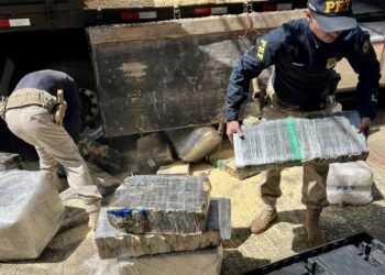PRF apreende 2,6 ton de maconha durante fiscalização de freios em veículo de carga no Paraná