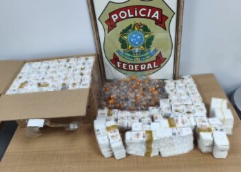 PF apreende mais de 1 mil ampolas de medicamentos emagrecedores
