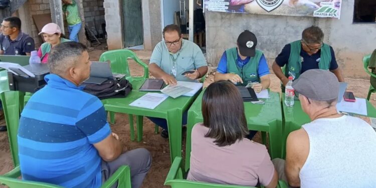 Ações de crédito rural mobilizam quase R$ 200 milhões em propostas para agricultura familiar em Rondônia