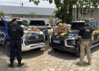 Homem é preso com 65 quilos de maconha na zona rural de Buritis