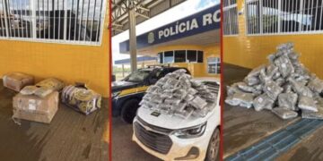 Casal que saiu de Rondônia transportando mais de 50 kg de “supermaconha” em porta-malas de carro é preso em MT