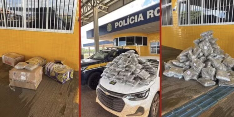 Casal que saiu de Rondônia transportando mais de 50 kg de “supermaconha” em porta-malas de carro é preso em MT