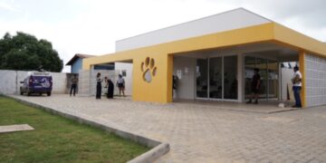 Proteção animal ganha reforço com comedouros, lixeiras PET e abrigos para gatos