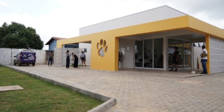 Proteção animal ganha reforço com comedouros, lixeiras PET e abrigos para gatos
