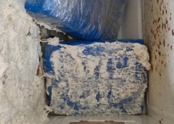 PF e forças de segurança apreendem cerca de 4,5 kg de drogas em Porto Velho/RO e Apuí/AM