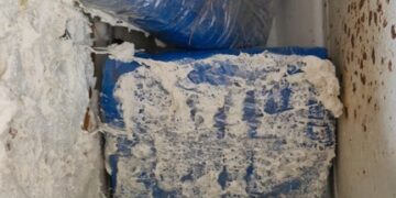 PF e forças de segurança apreendem cerca de 4,5 kg de drogas em Porto Velho/RO e Apuí/AM