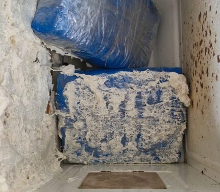 PF e forças de segurança apreendem cerca de 4,5 kg de drogas em Porto Velho/RO e Apuí/AM
